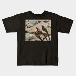 Closed bloom of a cactus Kids T-Shirt